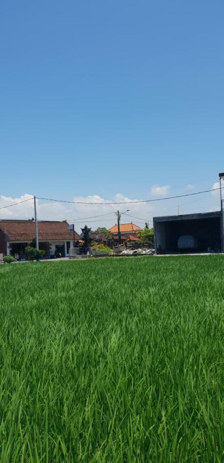 Sun Homestay Canggu 外观 照片